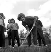 Reportage från Hästnäs.
Juni 1956.