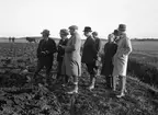 Medlemmar i bedömningsnämnden på mellersta JUF-distriktets plöjningstävling - agronom Göran Knutsson, professor G Torstensson, lantbrukare V Pettersson eller Eriksson, agronom Gottfrid Carlsson och vandringsrättare F Larsson