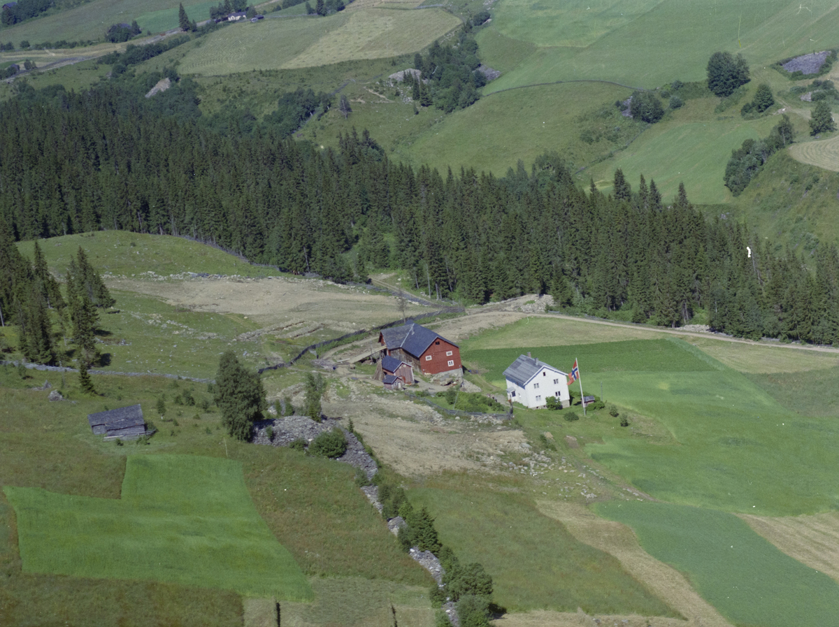 Øyer, Tretten vestside, Holoen eller Holoa gård. Nybrottsområde. Kulturlandskap, bygninger, gårdsbruk, skog
