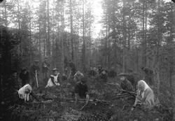 Fotograf J. Engerdal, Trysil