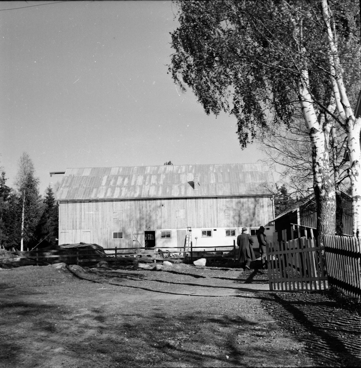 Lantbruksnämden ser på ladugårdar i Gäddvik. 1954