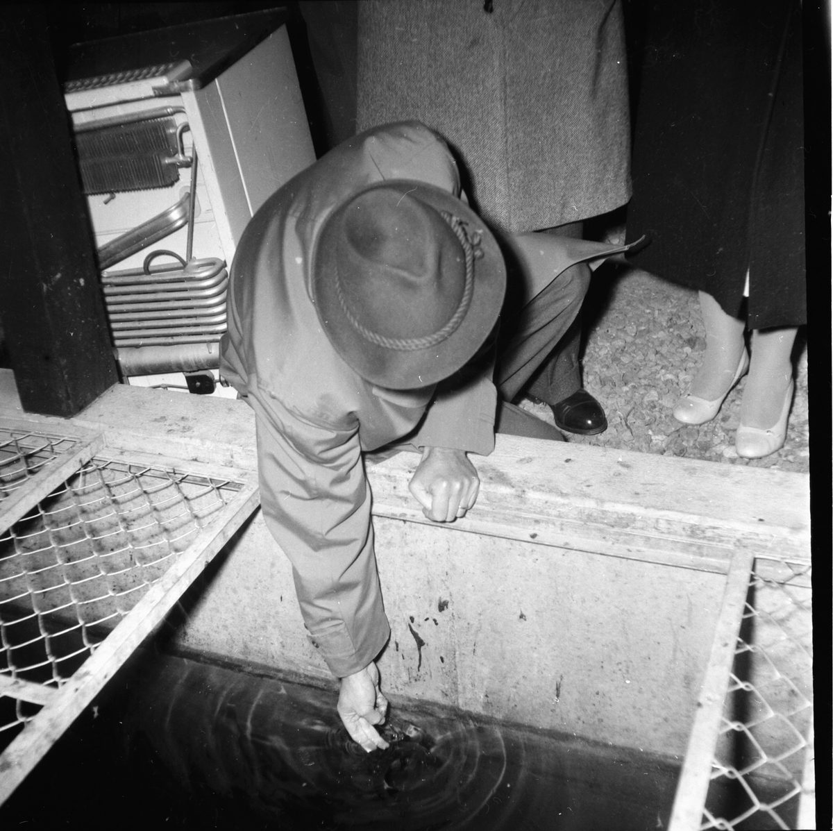 Fiskodlings anstalt Vianden besök.
4/10 1959
