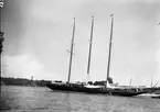 Fransk segelbåt vid Sandhamn 1930. Ägare Madame Herriot.