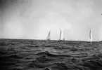 Sandhamsregattan 1930.