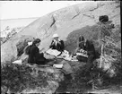 Picknick på klipporna, Östhammar, Uppland