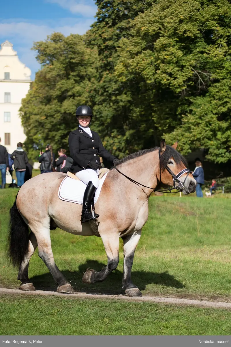 Hästfesten på Tyresö slott med konferencier Owe Sandström, Slottshästen. Hästar, ryttare och ekipage med vagn eller käpphäst tävlar och visar upp sig i parken bland åskådare som besöker evenemanget.