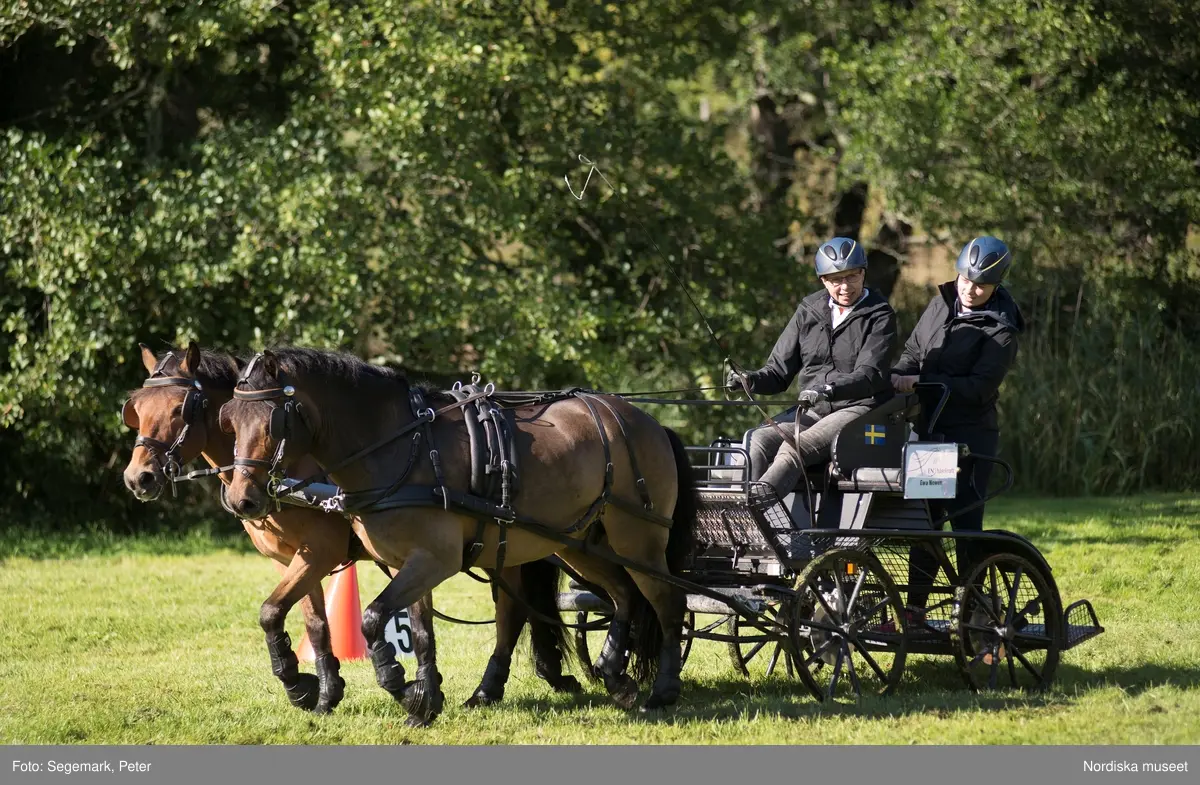 Hästfesten på Tyresö slott med konferencier Owe Sandström, Slottshästen. Hästar, ryttare och ekipage med vagn eller käpphäst tävlar och visar upp sig i parken bland åskådare som besöker evenemanget.
