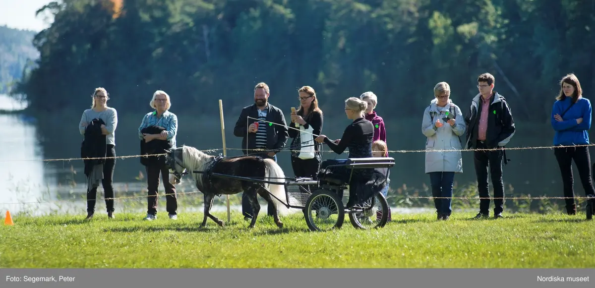 Hästfesten på Tyresö slott med konferencier Owe Sandström, Slottshästen. Hästar, ryttare och ekipage med vagn eller käpphäst tävlar och visar upp sig i parken bland åskådare som besöker evenemanget.