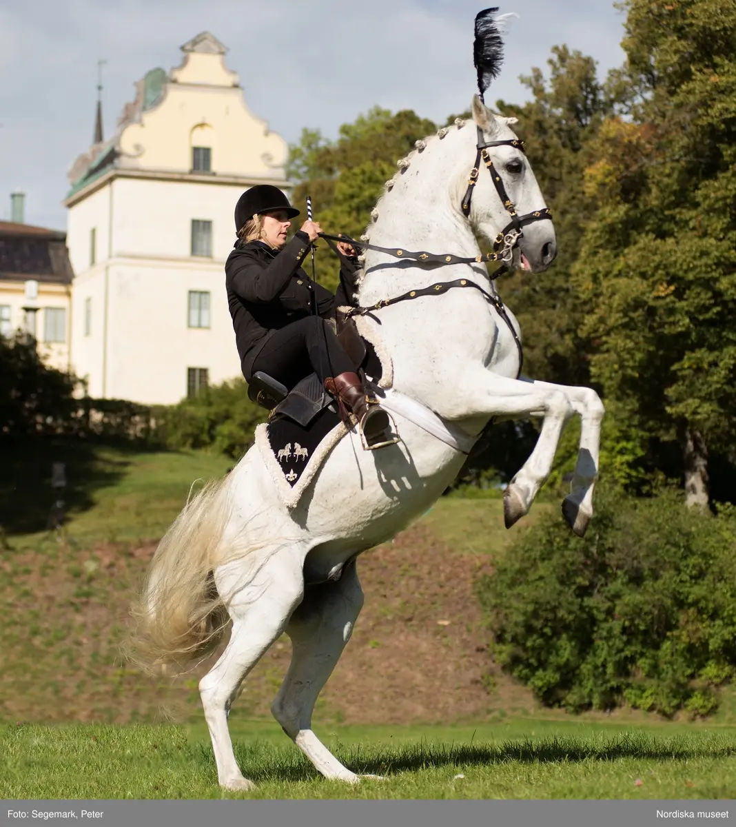 Hästfesten på Tyresö slott med konferencier Owe Sandström, Slottshästen. Hästar, ryttare och ekipage med vagn eller käpphäst tävlar och visar upp sig i parken bland åskådare som besöker evenemanget.