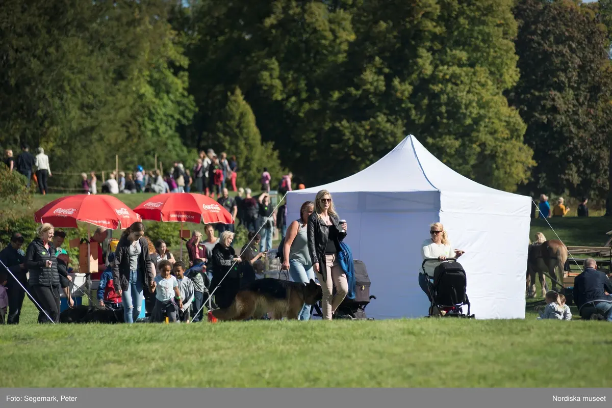 Hästfesten på Tyresö slott med konferencier Owe Sandström, Slottshästen. Hästar, ryttare och ekipage med vagn eller käpphäst tävlar och visar upp sig i parken bland åskådare som besöker evenemanget.