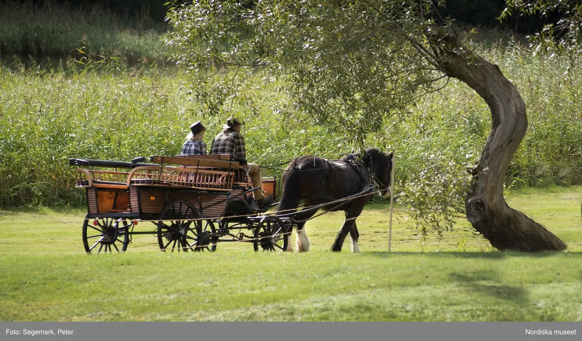 Hästfesten på Tyresö slott med konferencier Owe Sandström, Slottshästen. Hästar, ryttare och ekipage med vagn eller käpphäst tävlar och visar upp sig i parken bland åskådare som besöker evenemanget.