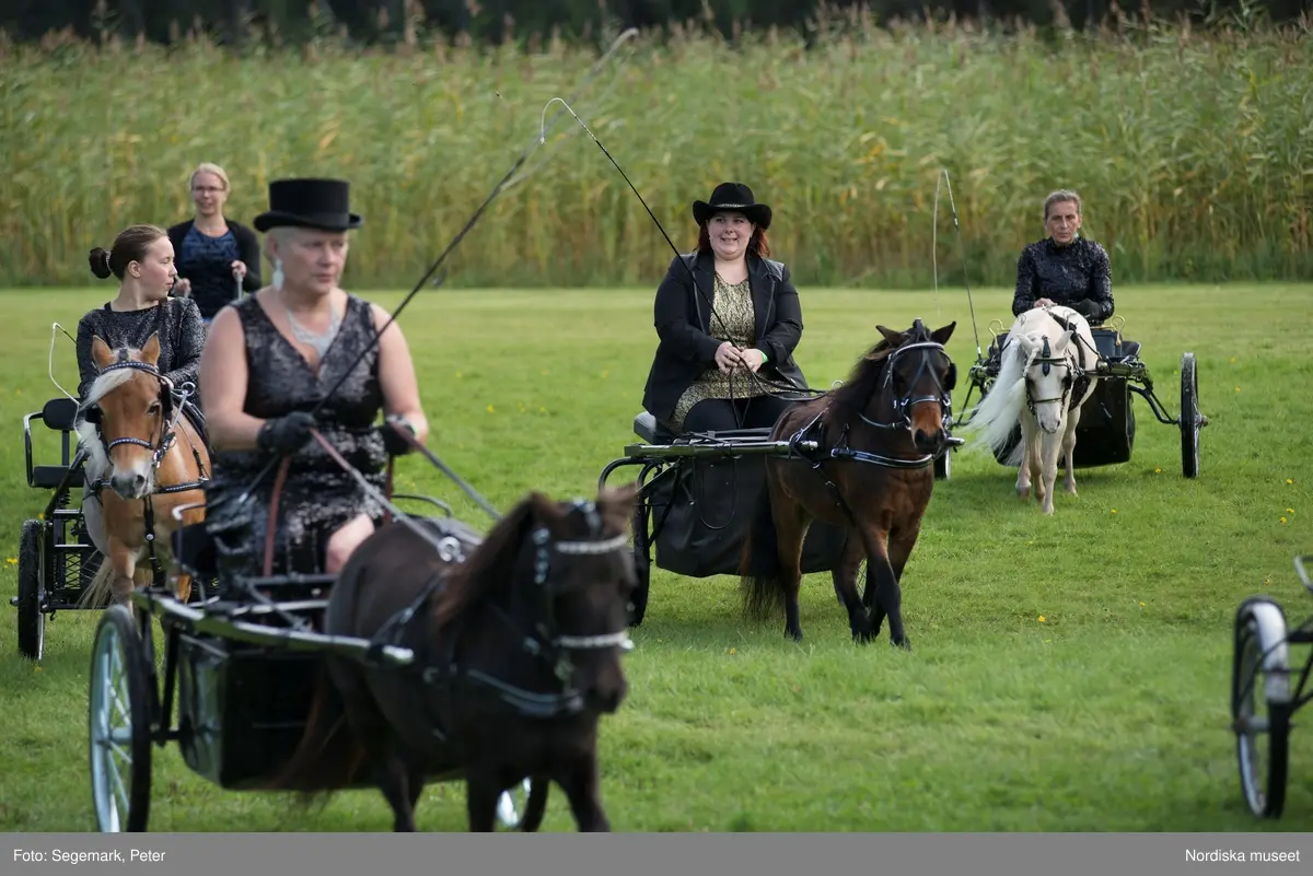 Hästfesten på Tyresö slott med konferencier Owe Sandström, Slottshästen. Hästar, ryttare och ekipage med vagn eller käpphäst tävlar och visar upp sig i parken bland åskådare som besöker evenemanget.