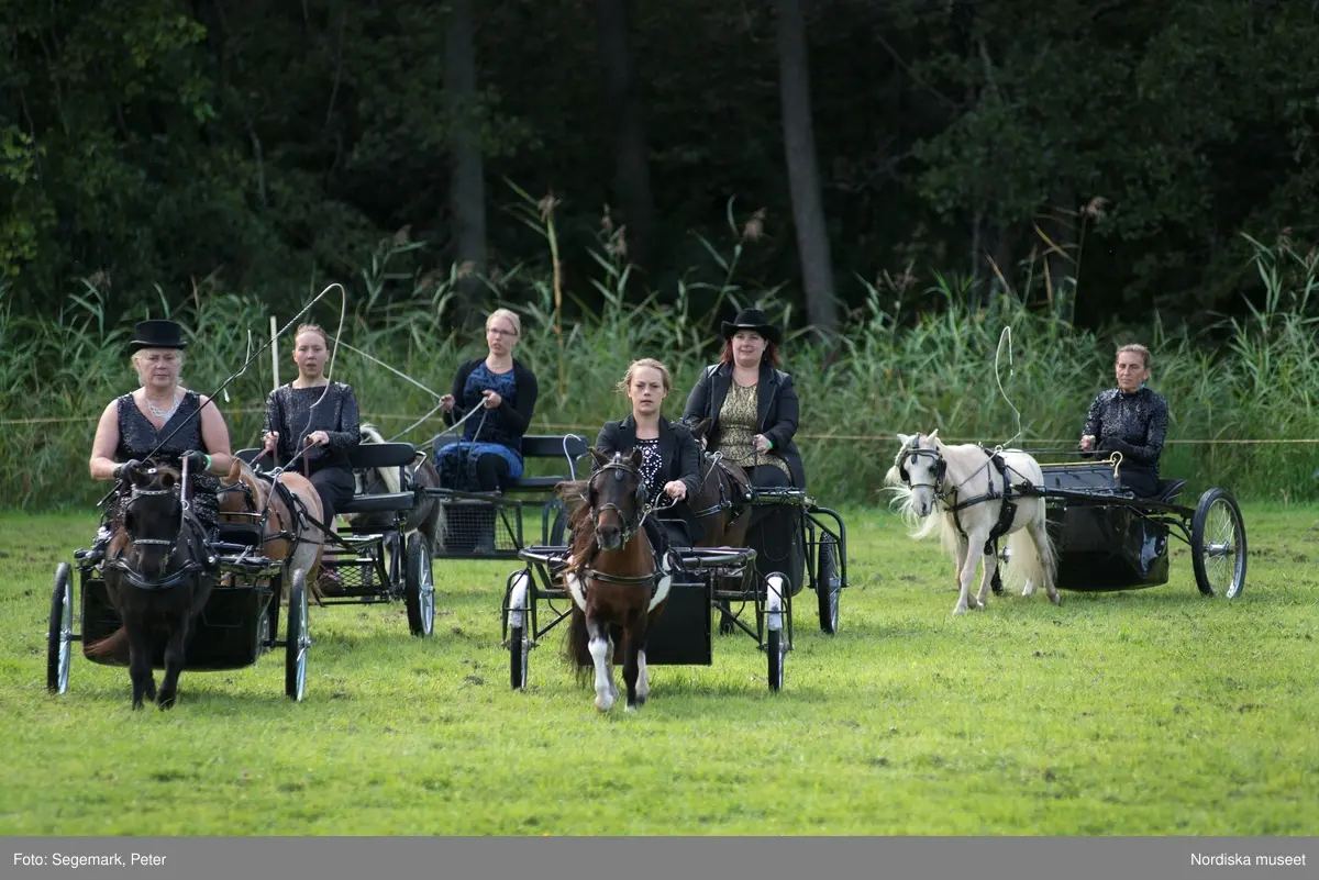 Hästfesten på Tyresö slott med konferencier Owe Sandström, Slottshästen. Hästar, ryttare och ekipage med vagn eller käpphäst tävlar och visar upp sig i parken bland åskådare som besöker evenemanget.