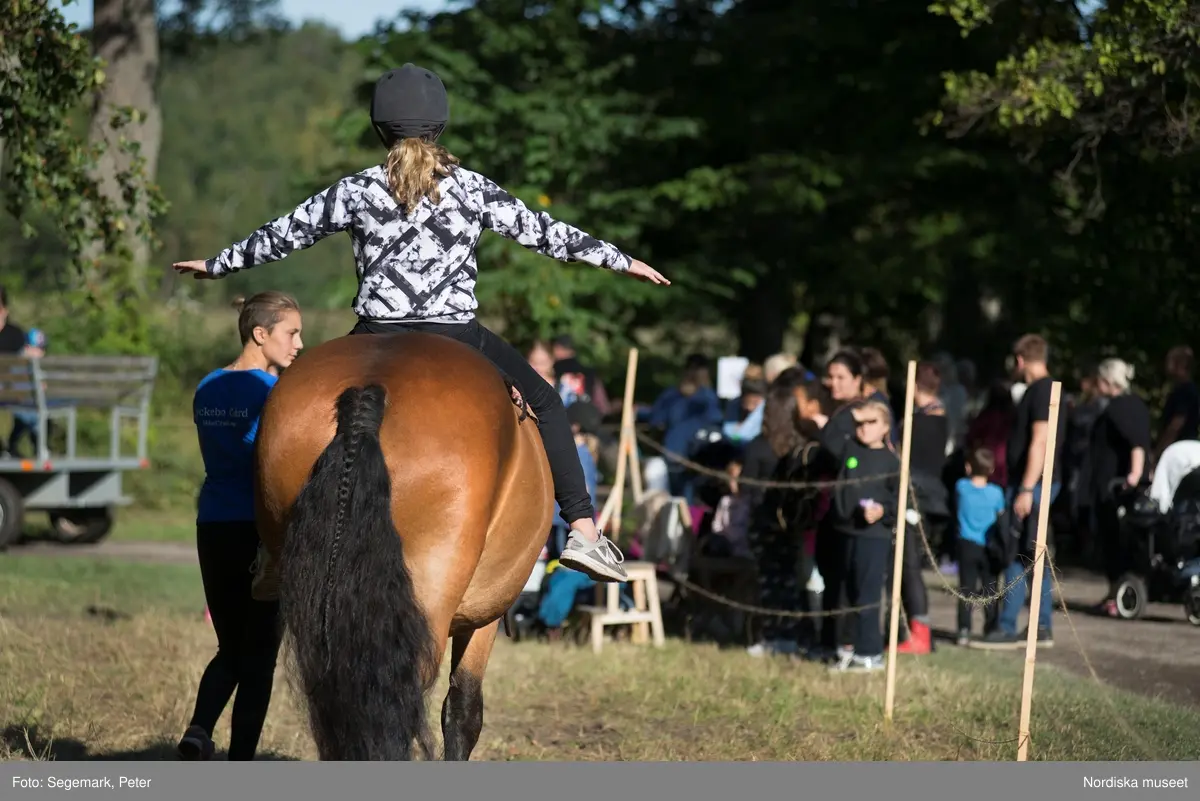 Hästfesten på Tyresö slott med konferencier Owe Sandström, Slottshästen. Hästar, ryttare och ekipage med vagn eller käpphäst tävlar och visar upp sig i parken bland åskådare som besöker evenemanget.