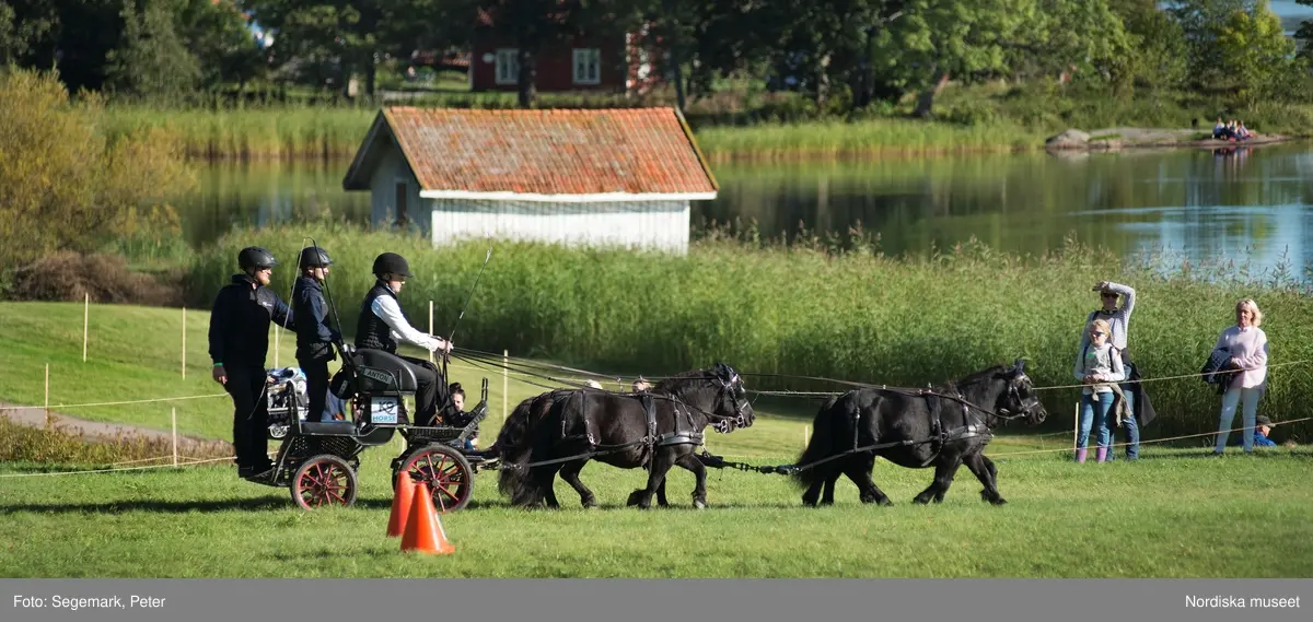 Hästfesten på Tyresö slott med konferencier Owe Sandström, Slottshästen. Hästar, ryttare och ekipage med vagn eller käpphäst tävlar och visar upp sig i parken bland åskådare som besöker evenemanget.