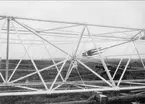 Karlsborgs radiostation i Kråk. Masten klar för resning, år 1916. Masterna är konstruerade av professor K Ljungberg, Stockholm, var 210 m höga och vägde 25 ton. Foto: Alfred Sjöberg, Karlsborg. Masterna revs i mars år 2001.