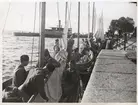 Fotografiet visar minst fyra slupar som ligger förtöjda vid Kungsbron. Besättningarna ombord iordningställer båtarna efter segling. I bildens förgrund till vänster ses fem unga män göra just detta; tre koncentrerar sig på seglet och två talar sinsemellan. I båten bakom håller fyra stycken  på att hala segel, liksom sina kamrater i de övriga båtarna bakom. 
En del av kajen syns till höger i bilden och sträcker sig från förgrund till bakgrund. Det går att ana att någon står precis utanför bilden i förgrunden; delen av en sko syns nämligen på stenläggningen. I mellangrunden syns Kungsbrons trappa och längre bort i bakgrunden befäl som står på kajen. Individuella drag eller deras tjänstgöringsgrad går dock inte att avgöra.