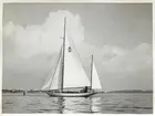 Segelbåt till sjöss. I bakgrunden syns land en enstaka moln.