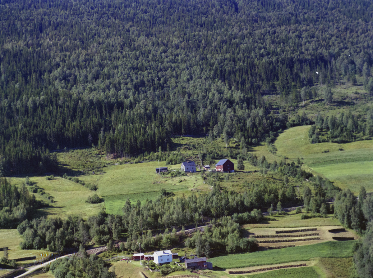 Sør-Fron, Harpefoss. Rønningen, (Rolstadrønningen) Bolighus, mindre uthus. Kulturlandskap, åkrer, granskog bak.