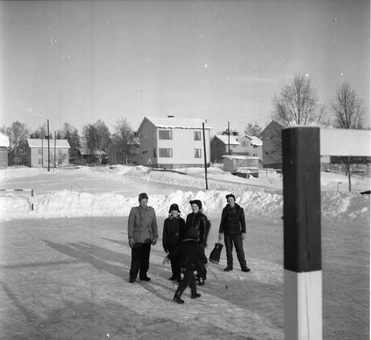 Trädgårdsmästare Gösta Hedlund.
Januari 1956
