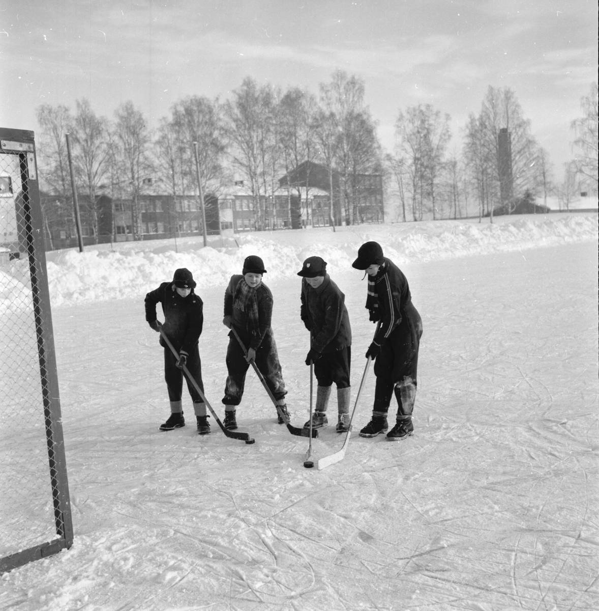Trädgårdsmästare Gösta Hedlund
Januari 1956