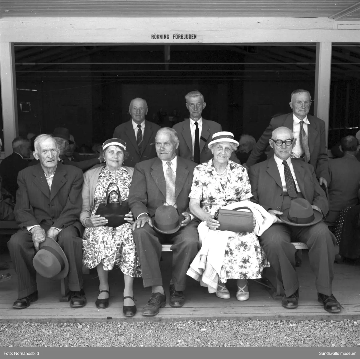 Pensionärernas sommarfest i Folkets park, gruppbild och musikuppträdande.