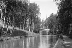 Göta kanal. Parti från landshöjden. Foto: Alfred Sjöberg.