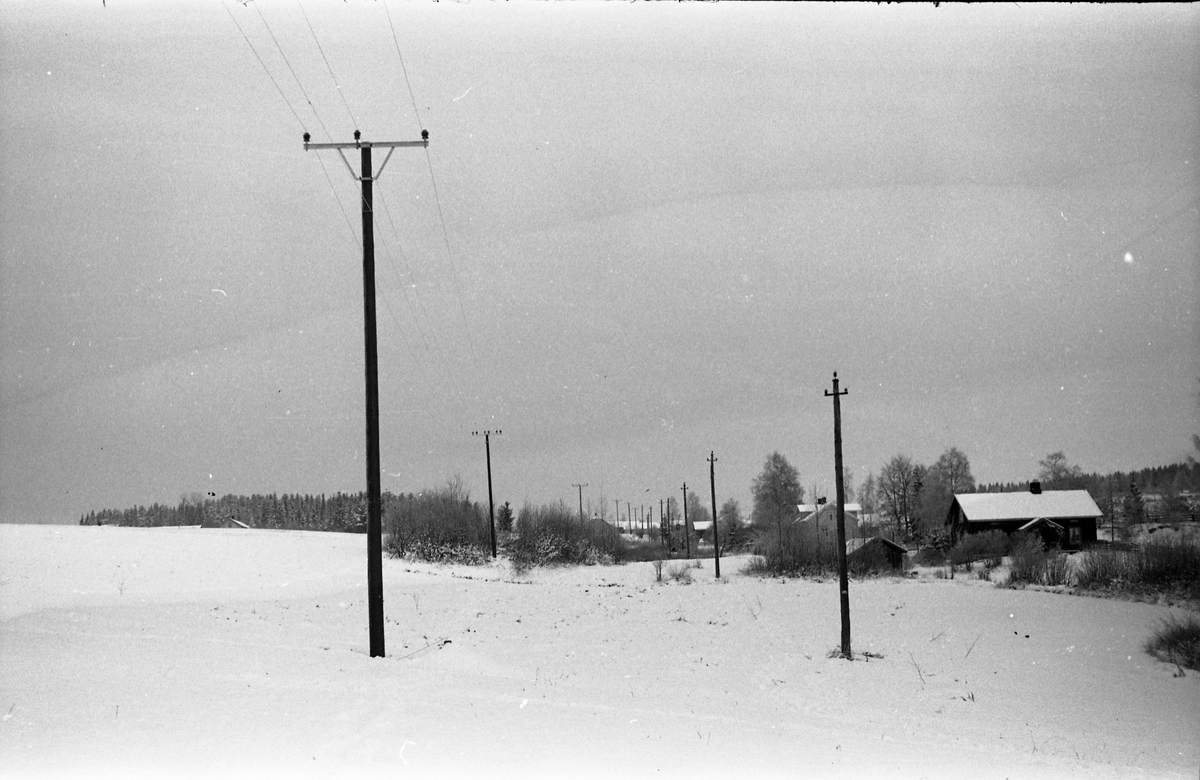 Lysslinje under etablering eller utbedring vest for Kapphøgdavegen ved Lillo i Østre Toten høsten 1944. Serie på 8 bilder. På bilde nr. 1 ser en nærmest og til høyre eiendommen Solberg (mørkt hus), og det lyse huset litt bakenfor er Moe. Til venstre i bildet, oppunder skogkanten, skimtes Sigstad.