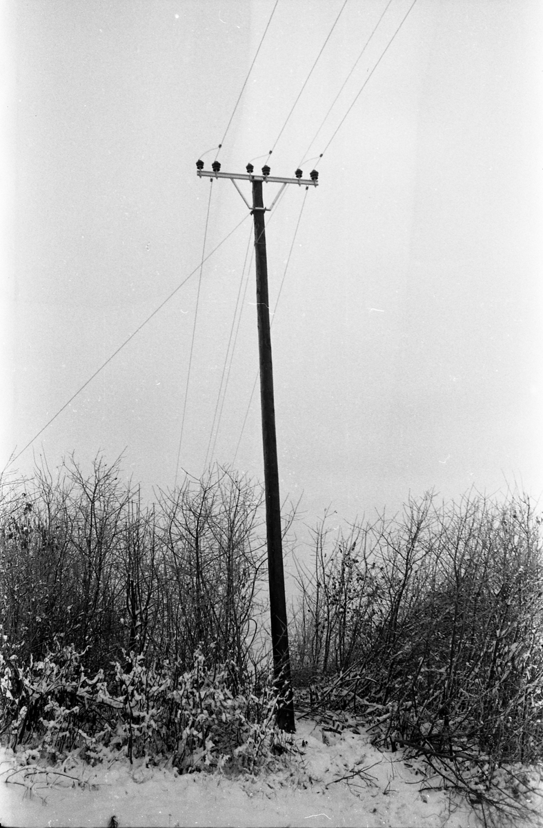 Lysslinje under etablering eller utbedring vest for Kapphøgdavegen ved Lillo i Østre Toten høsten 1944. Serie på 8 bilder. På bilde nr. 1 ser en nærmest og til høyre eiendommen Solberg (mørkt hus), og det lyse huset litt bakenfor er Moe. Til venstre i bildet, oppunder skogkanten, skimtes Sigstad.