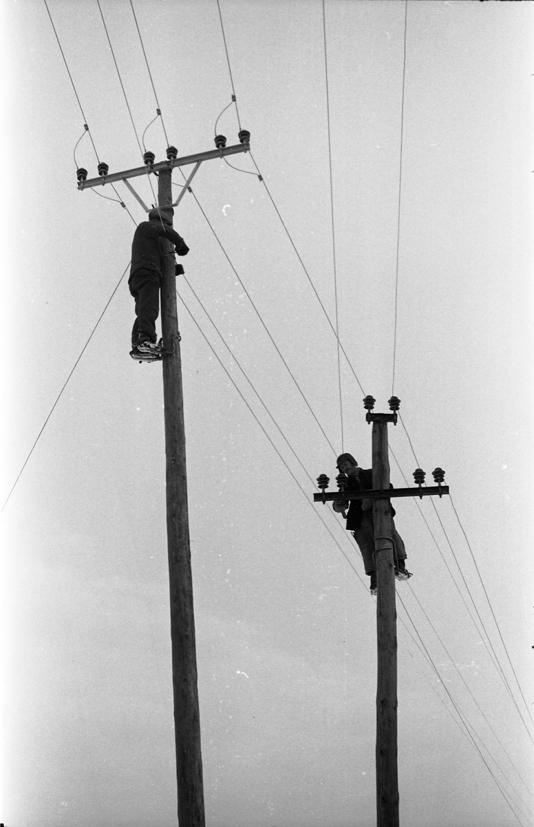 Lysslinje under etablering eller utbedring vest for Kapphøgdavegen ved Lillo i Østre Toten høsten 1944. Serie på 8 bilder. På bilde nr. 1 ser en nærmest og til høyre eiendommen Solberg (mørkt hus), og det lyse huset litt bakenfor er Moe. Til venstre i bildet, oppunder skogkanten, skimtes Sigstad.