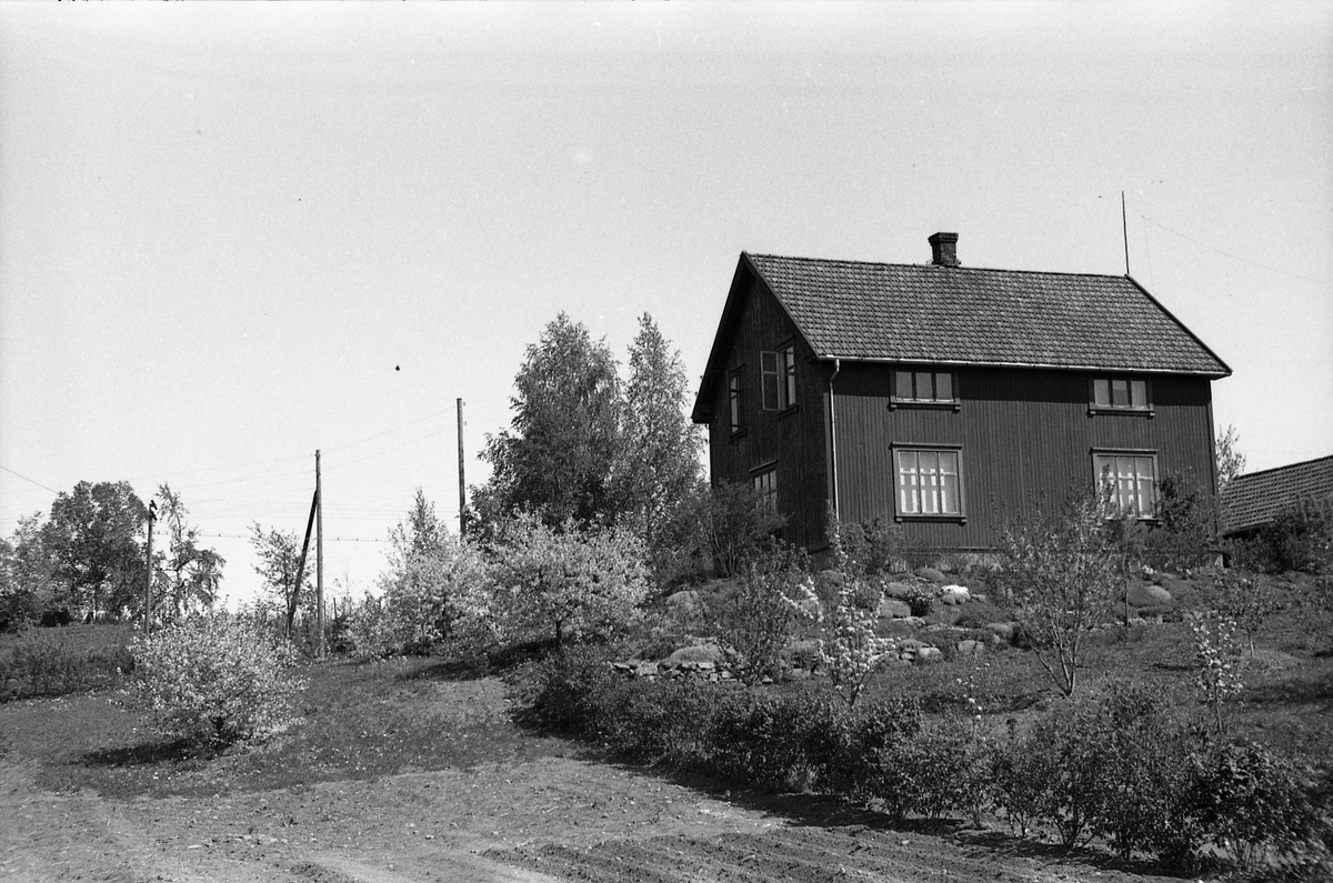 Fem bilder fra fotografens eiendom Odberg på Kraby, Østre Toten, våren 1946.