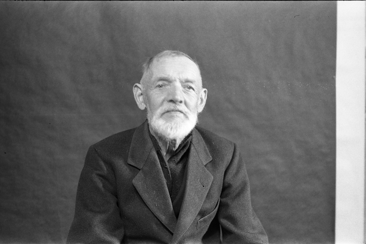 Hermann Nettum - Portrett.