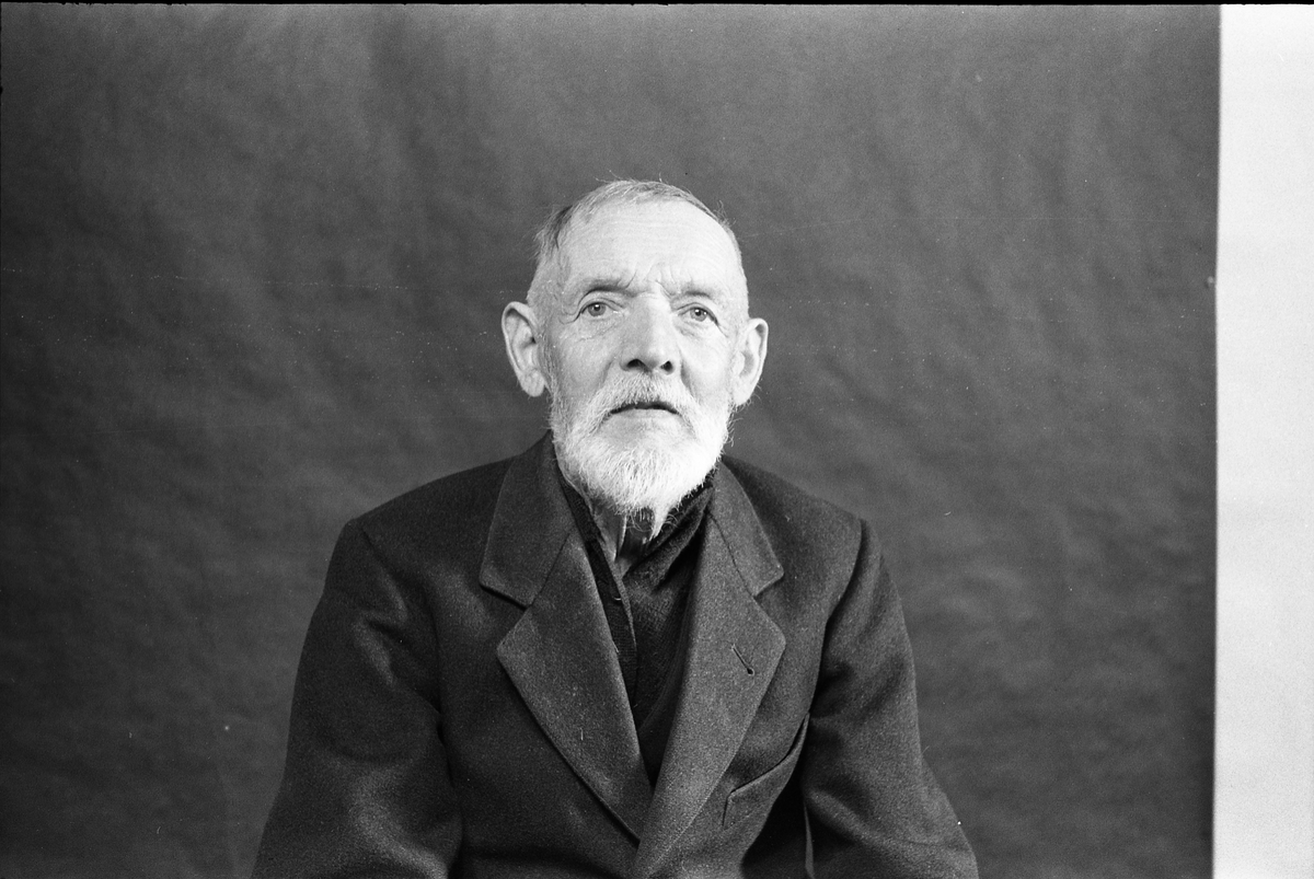 Hermann Nettum - Portrett.