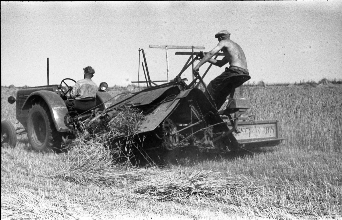 Skuronn, muligens på Hveem mellom i Østre Toten. Selvbinder trukket av traktor.