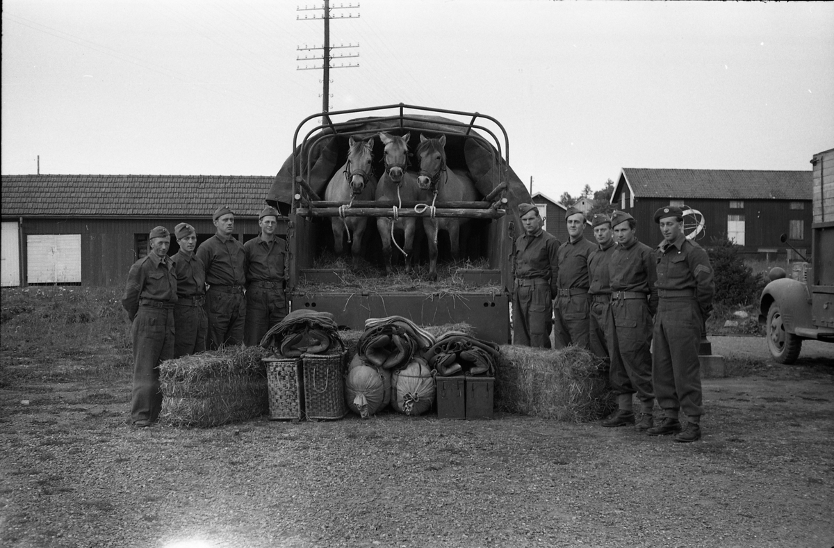 Opplasting av hester på lastebil ved Hærens Hesteskole på Starum september 1948. Serie på 24 bilder. Lengst til venstre på bilde nr. 1 står daværende sersjant Ottar Markeng.
Bildene nr. 1-4 og 17-24 er trolig fra Hoffsvangen, de øvrige fra Starum Leir.
Iflg. informant ble bilder av denne typen brukt til å lage instruksjonshefter/lærebøker til bruk for Hærens hestetjeneste. Se også TMF-4844 og TMF-4864.