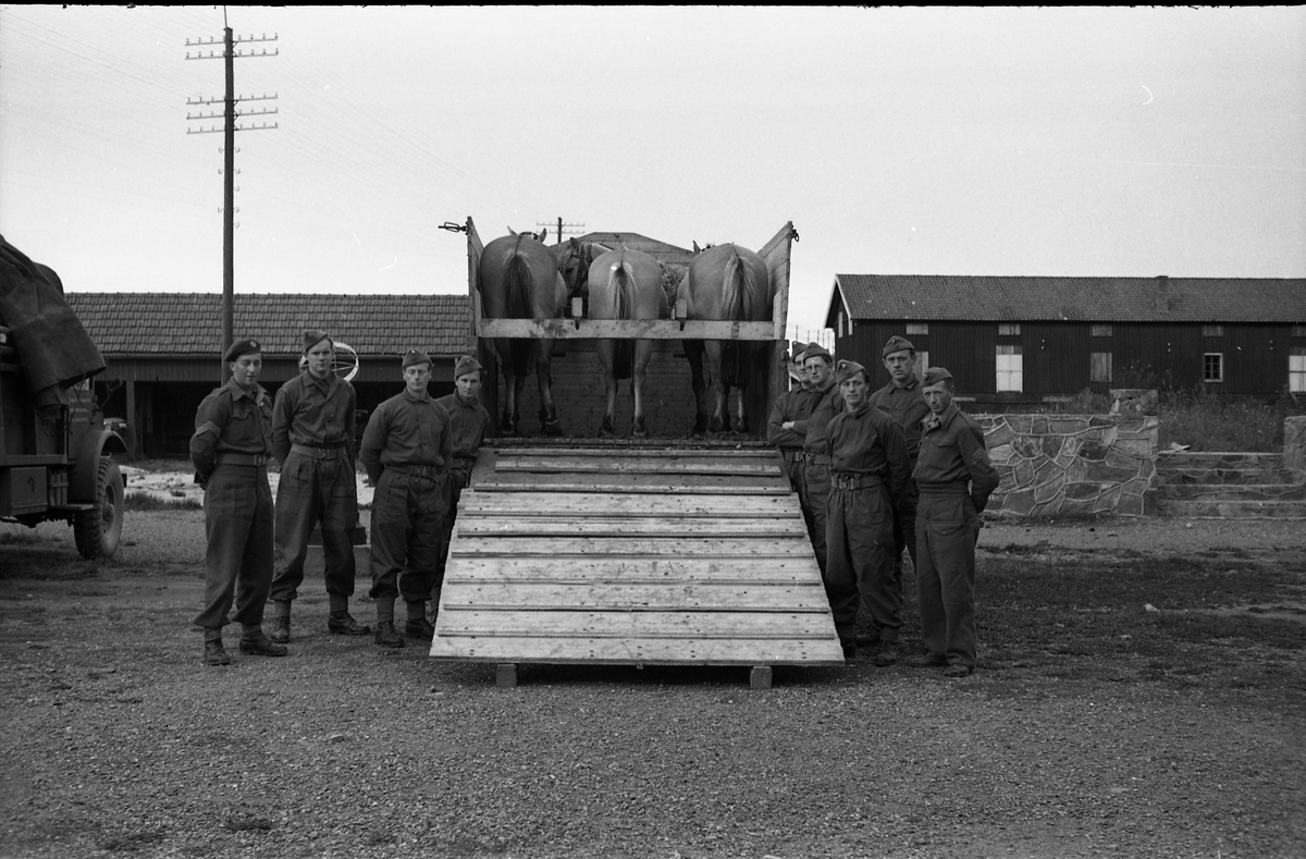 Opplasting av hester på lastebil ved Hærens Hesteskole på Starum september 1948. Serie på 24 bilder. Lengst til venstre på bilde nr. 1 står daværende sersjant Ottar Markeng.
Bildene nr. 1-4 og 17-24 er trolig fra Hoffsvangen, de øvrige fra Starum Leir.
Iflg. informant ble bilder av denne typen brukt til å lage instruksjonshefter/lærebøker til bruk for Hærens hestetjeneste. Se også TMF-4844 og TMF-4864.