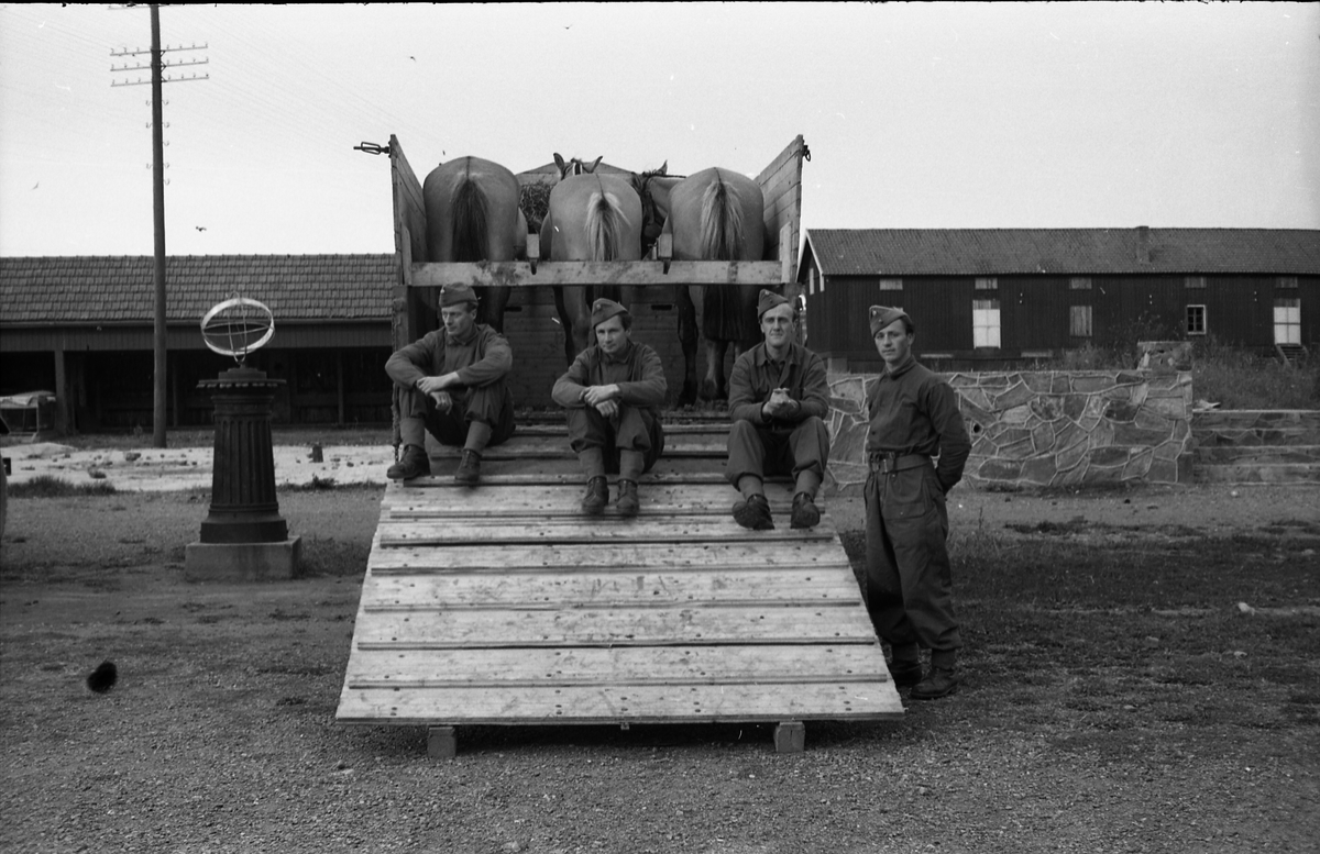 Opplasting av hester på lastebil ved Hærens Hesteskole på Starum september 1948. Serie på 24 bilder. Lengst til venstre på bilde nr. 1 står daværende sersjant Ottar Markeng.
Bildene nr. 1-4 og 17-24 er trolig fra Hoffsvangen, de øvrige fra Starum Leir.
Iflg. informant ble bilder av denne typen brukt til å lage instruksjonshefter/lærebøker til bruk for Hærens hestetjeneste. Se også TMF-4844 og TMF-4864.