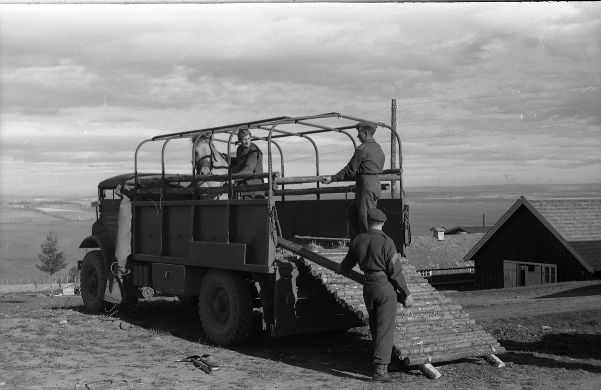 Opplasting av hester på lastebil ved Hærens Hesteskole på Starum september 1948. Serie på 24 bilder. Lengst til venstre på bilde nr. 1 står daværende sersjant Ottar Markeng.
Bildene nr. 1-4 og 17-24 er trolig fra Hoffsvangen, de øvrige fra Starum Leir.
Iflg. informant ble bilder av denne typen brukt til å lage instruksjonshefter/lærebøker til bruk for Hærens hestetjeneste. Se også TMF-4844 og TMF-4864.