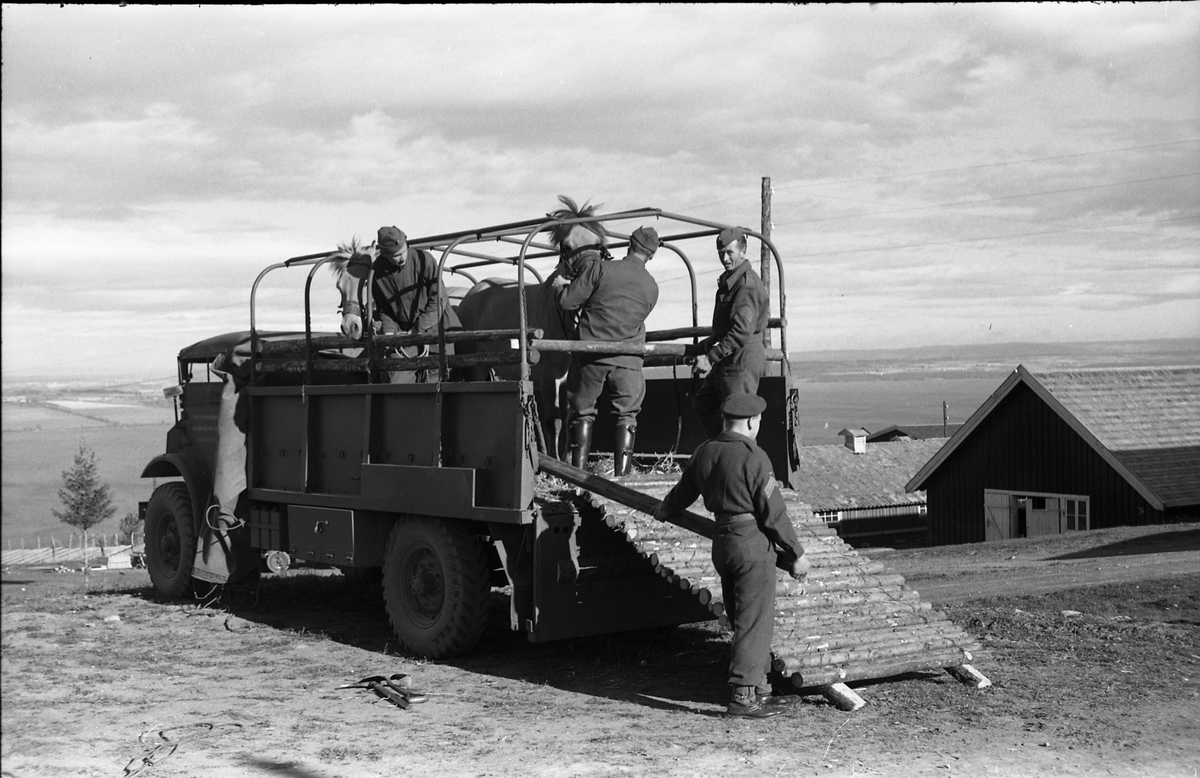 Opplasting av hester på lastebil ved Hærens Hesteskole på Starum september 1948. Serie på 24 bilder. Lengst til venstre på bilde nr. 1 står daværende sersjant Ottar Markeng.
Bildene nr. 1-4 og 17-24 er trolig fra Hoffsvangen, de øvrige fra Starum Leir.
Iflg. informant ble bilder av denne typen brukt til å lage instruksjonshefter/lærebøker til bruk for Hærens hestetjeneste. Se også TMF-4844 og TMF-4864.