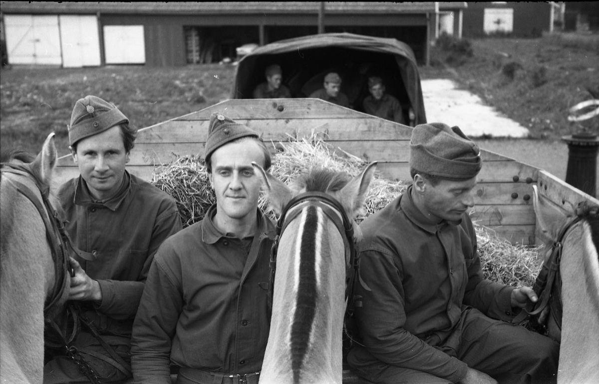 Opplasting av hester på lastebil ved Hærens Hesteskole på Starum september 1948. Serie på 24 bilder. Lengst til venstre på bilde nr. 1 står daværende sersjant Ottar Markeng.
Bildene nr. 1-4 og 17-24 er trolig fra Hoffsvangen, de øvrige fra Starum Leir.
Iflg. informant ble bilder av denne typen brukt til å lage instruksjonshefter/lærebøker til bruk for Hærens hestetjeneste. Se også TMF-4844 og TMF-4864.