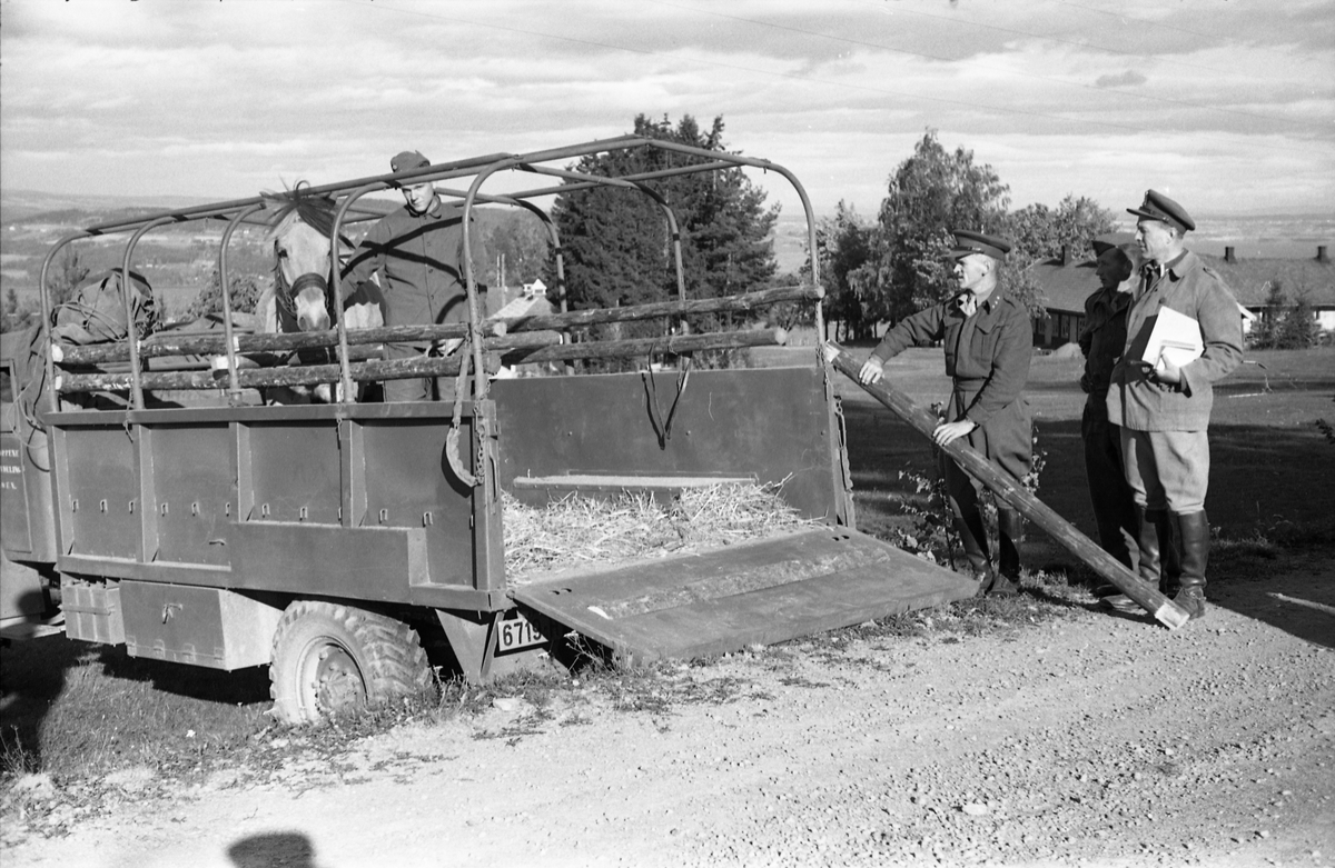 Transport av hest med lastebil ved Hærens Hesteskole på Starum, september/oktober 1948. Serie på 17 bilder. På bilde nr. 4 står fra venstre: Kaptein Sverre Norli, trolig major Bjart Ording (plasskomandant), og sersjant Ottar Markeng.
Iflg. informant ble bilder av denne typen brukt til å lage instruksjonshefter/lærebøker til bruk for Hærens hestetjeneste. Se også TMF-4838 og TMF-4864.