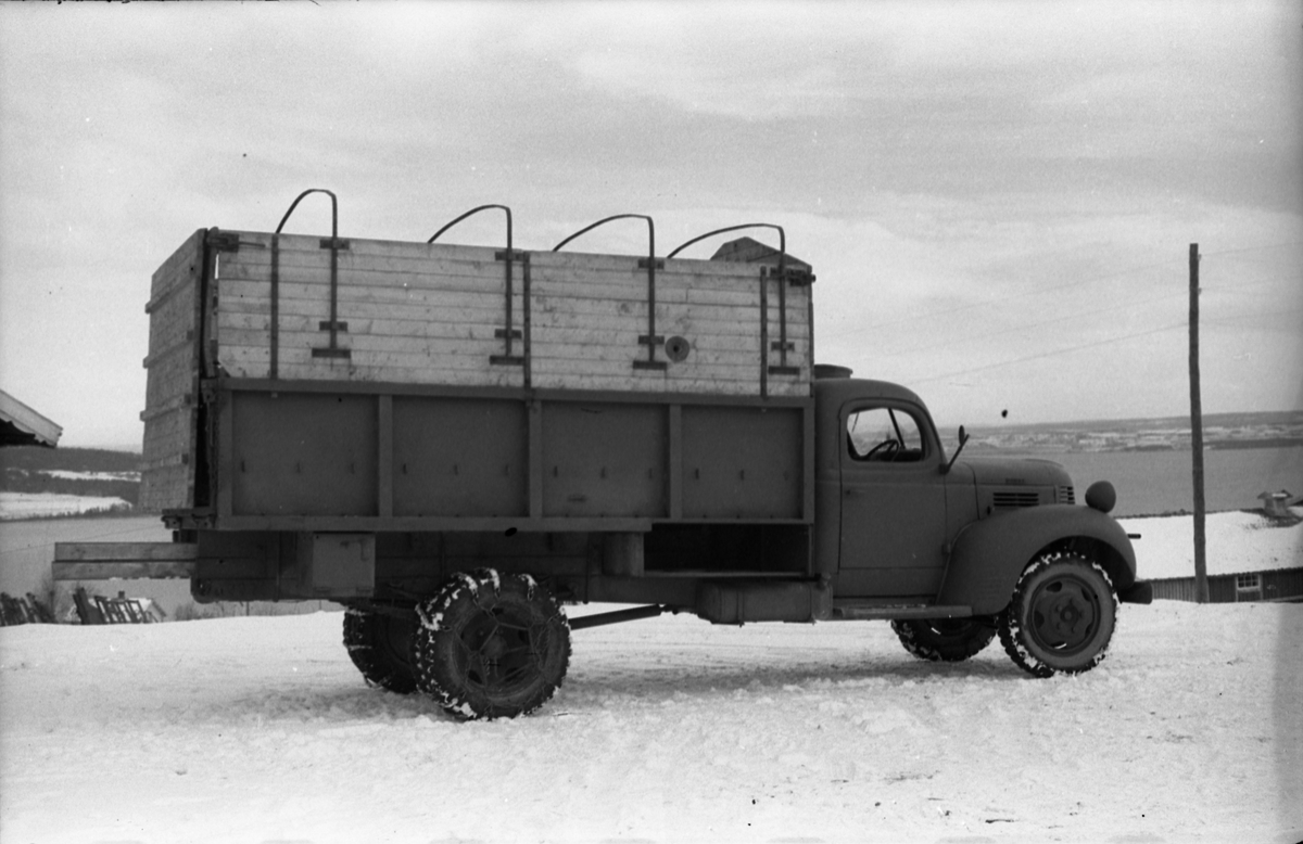 Hestetransport med lastebil ved Hærens Hesteskole på Starum oktober 1948. Serie på 18 bilder.
Iflg. informant ble bilder av denne typen brukt til å lage instruksjonshefter/lærebøker til bruk for Hærens hestetjeneste. Se også TMF-4844 og TMF-4864.