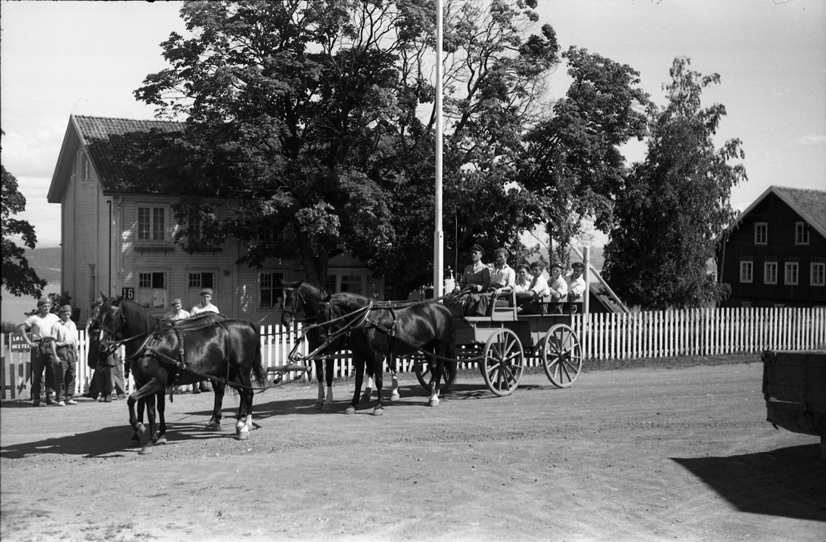 Kjøring med firspann på Starum juli 1949. Sju bilder. Ingen av personene er identifisert.