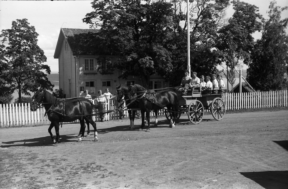 Kjøring med firspann på Starum juli 1949. Sju bilder. Ingen av personene er identifisert.