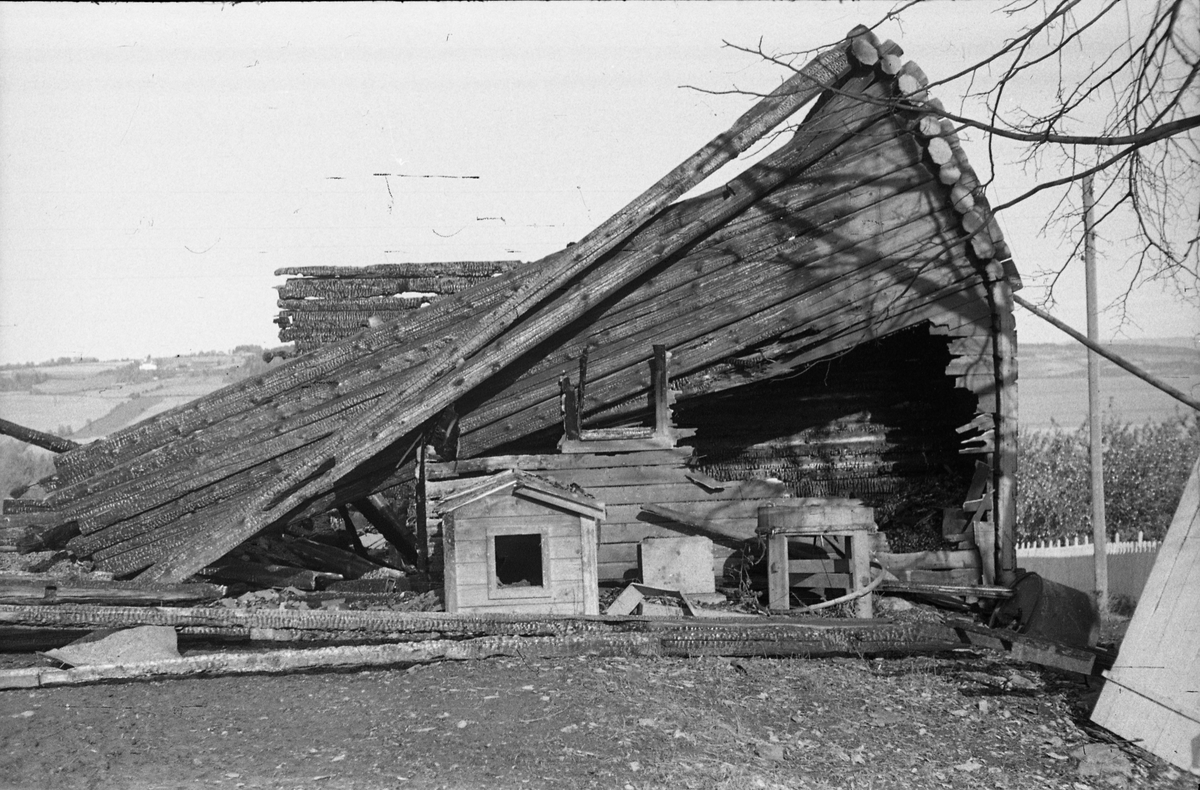 Branntomt etter låve- og stabbursbrann på Helgestad Store Vestre i Totenvika 29.september 1950. Totens Blad skrev at "En del avling, redskaper og 10 grisunger strøk også med". Serie på 14 bilder.