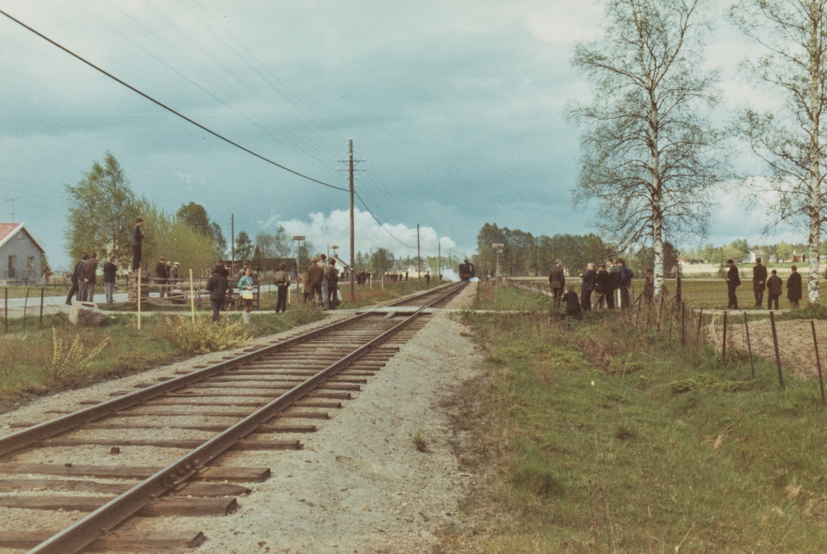 Fotokjøring med veterantog trukket av damplokomotiv 26c nr. 411, her underveis fra Elverum til Kongsvinger på Solørbanen