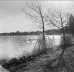 Isformationer vid Vätterns strand utmed Strandvägen, Karlsborg, mars 1961. Endast neg finns.