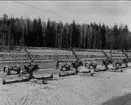 Bofors 1930-talet. 7,5 cm luftvärnskanon m/30, klar för leverans till A 9 Karlsborg.