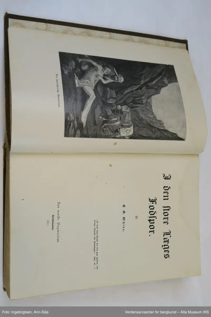Innbundet bok med brune permer. På frontpermen er det et motiv av et landskap med to kvinner til venstre. Den ene sitter i en rullestol og en står bak rullestolen. Teksten i boken er skrevet med gotiske typer, og boken er rikt illustrert med motiver som viser religiøse hendelser.