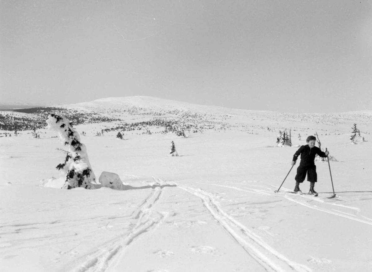 Nordsæter. Mot Neverfjell. Gutt på ski.